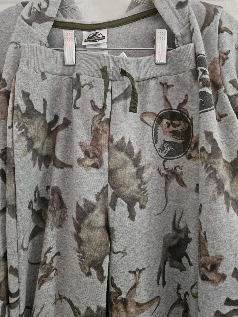 Jurassic-themed Kids Gray Dinosaur Zip Hoodie & Pants  Set